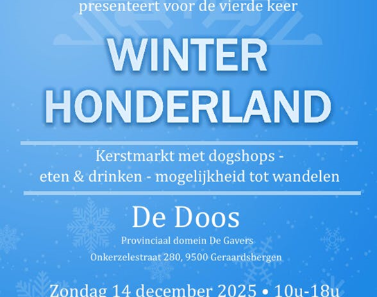 Winter Honderland