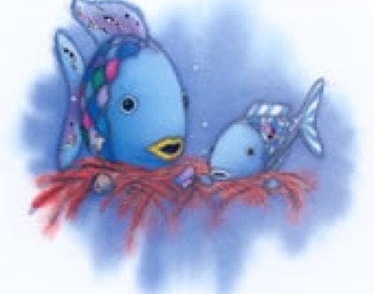 De mooiste vis van de zee Zomer 4 - 2026