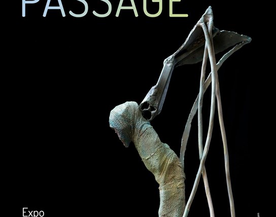 Expo KOENRAAD TINEL ' P A S S A G E '