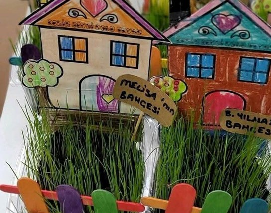CREATIEF MET ZAAIEN