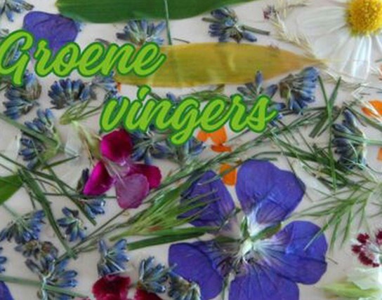 Groene vingers Geraardsbergen Pasen 2 - 2026