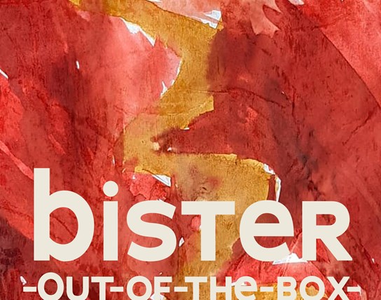 Out-of-the-box: BISTER