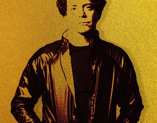 THE MUSIC OF LOU REED